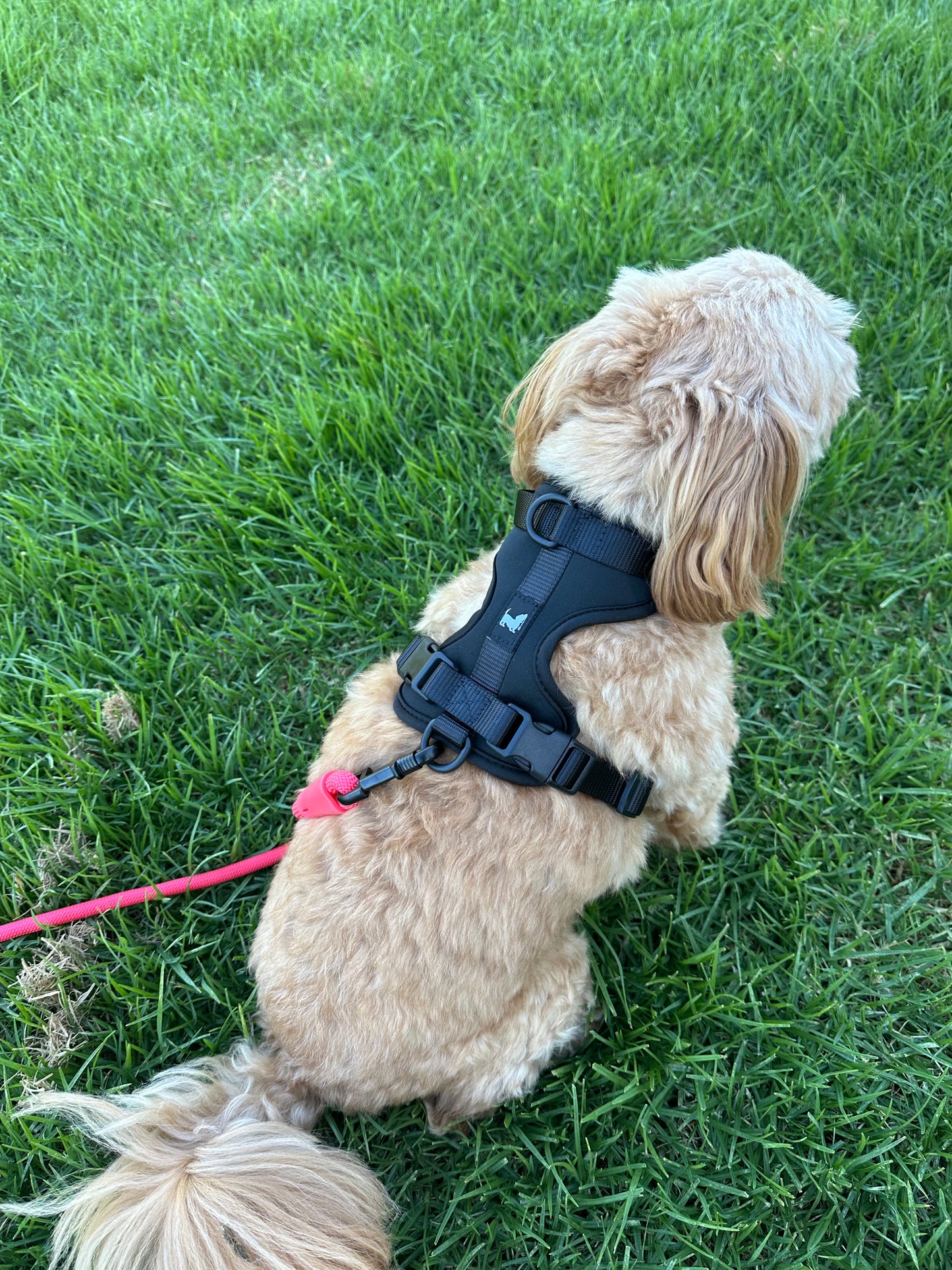 Harness Walk Kit - Shadow Black