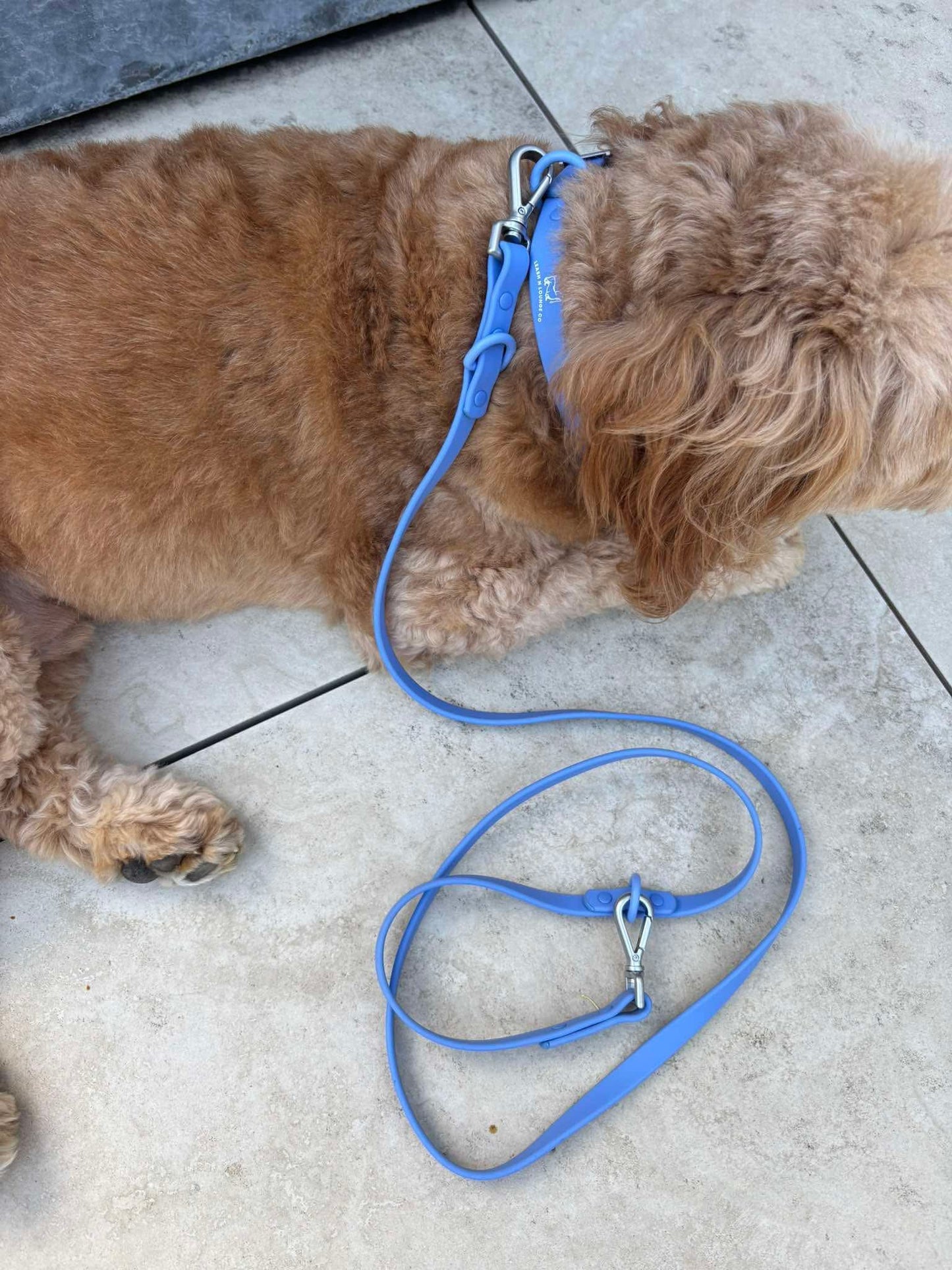 Collar Walk Kit - Marine Blue