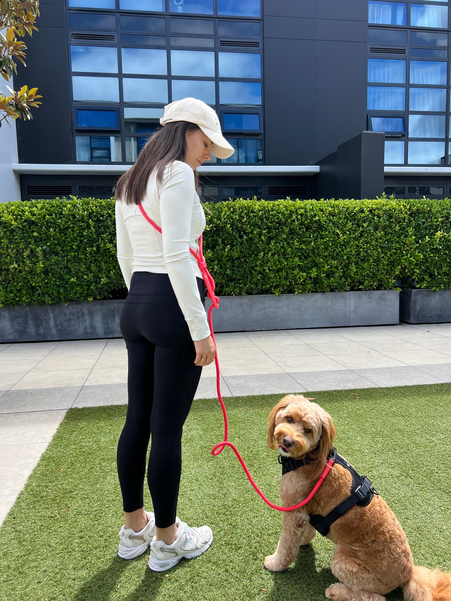 Hands Free Leash - Neon
