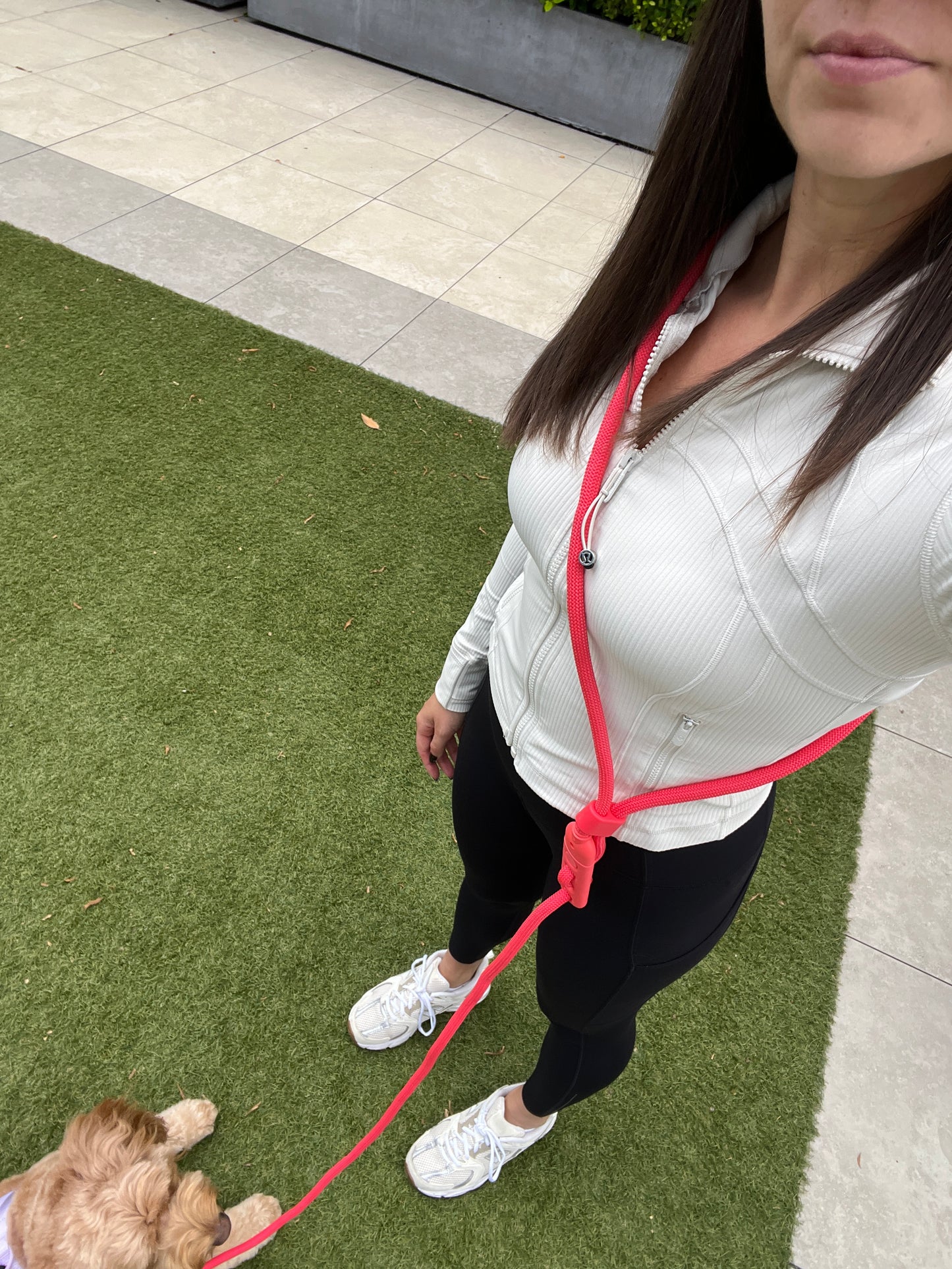 Hands Free Leash - Neon