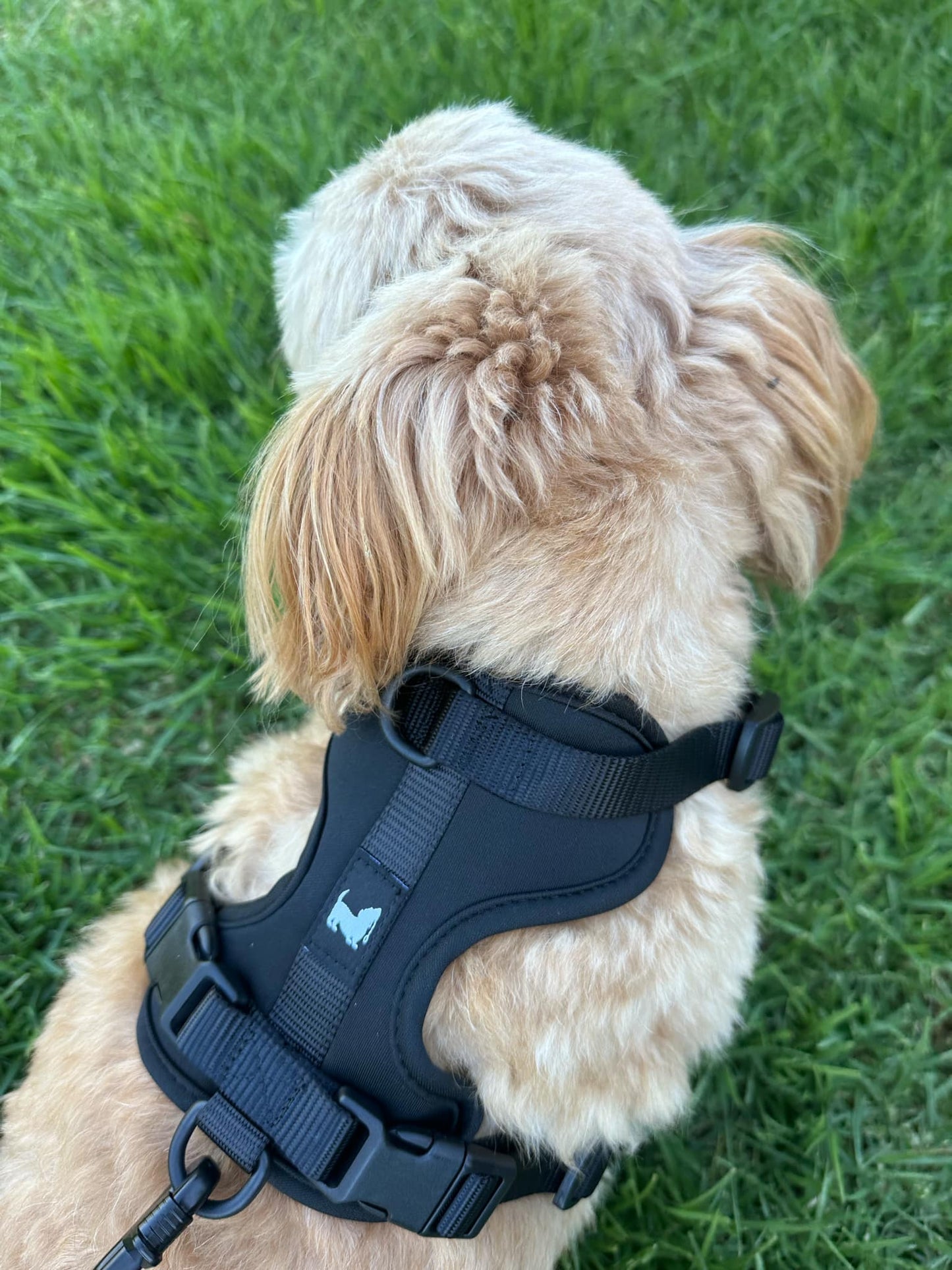 Harness - Shadow Black
