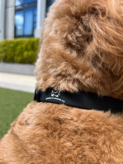 Collar Walk Kit -  Shadow Black