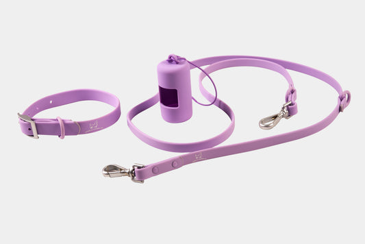 Collar Walk Kit - Lavender Purple