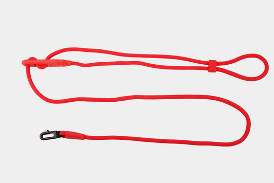 Hands Free Leash - Neon