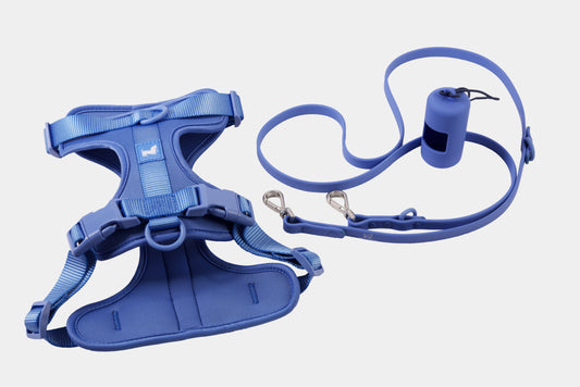 Harness Walk Kit - Marine Blue