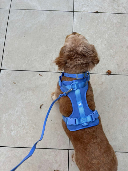 Harness - Marine Blue