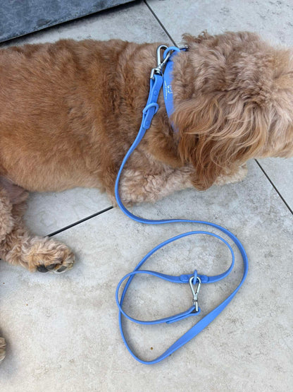 Collar Walk Kit - Marine Blue
