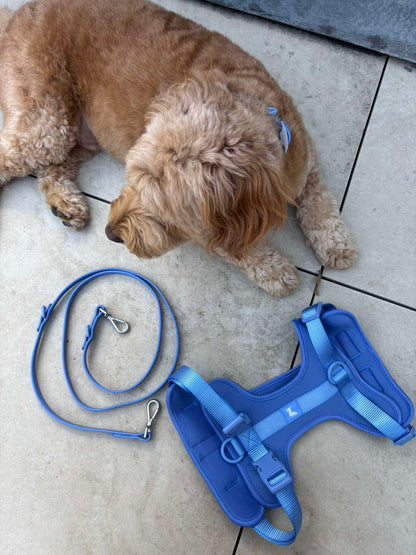 Harness Walk Kit - Marine Blue