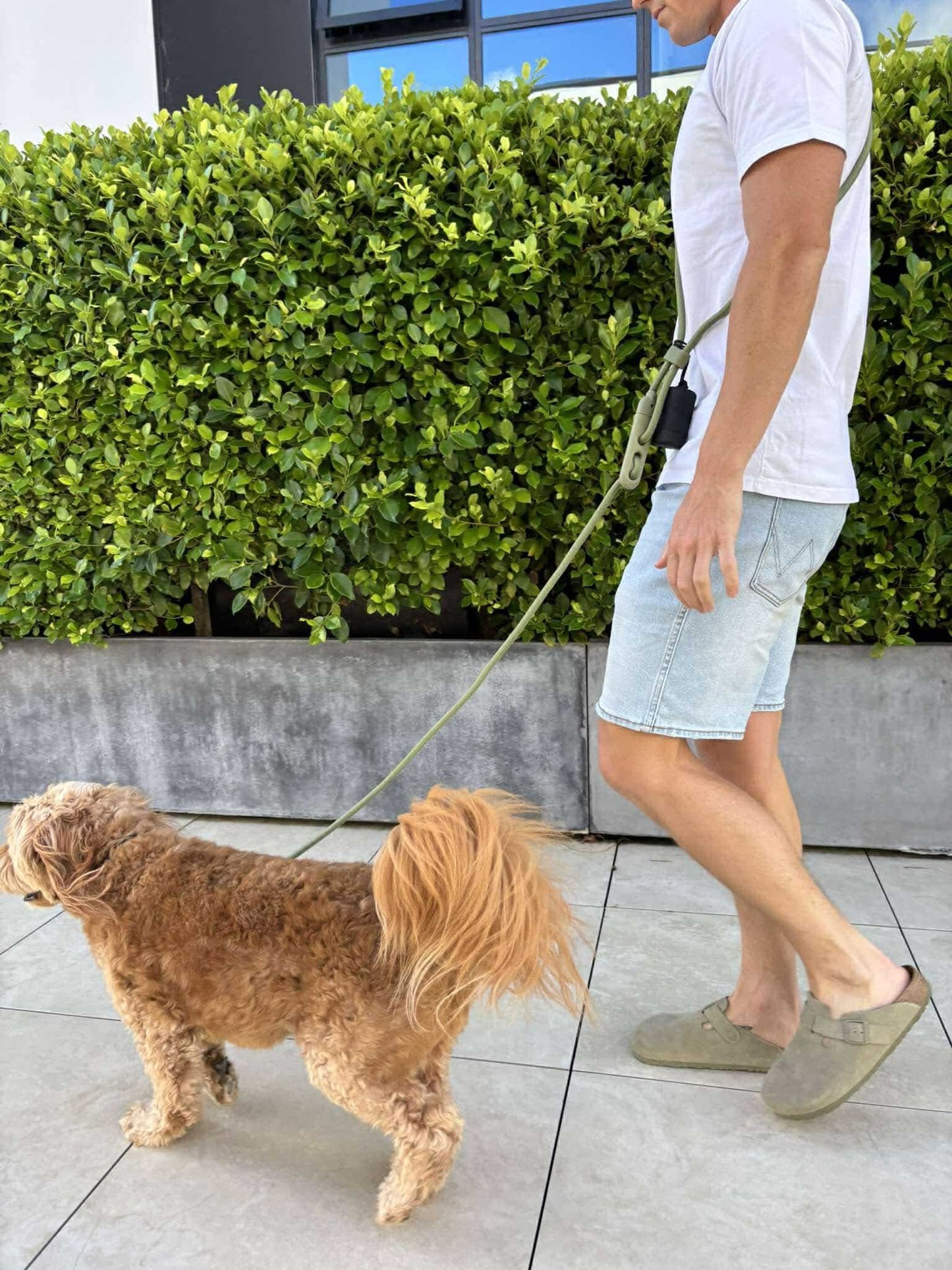 Hands Free Leash - Khaki