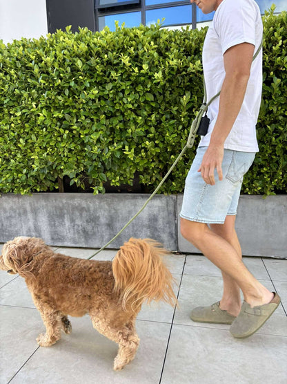 Hands Free Leash - Khaki