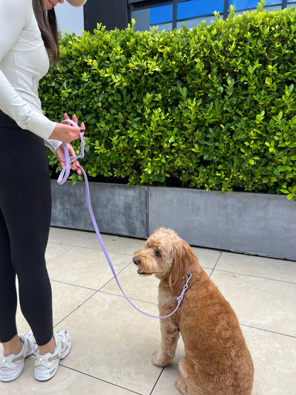 Dog Leash - Lavender Purple
