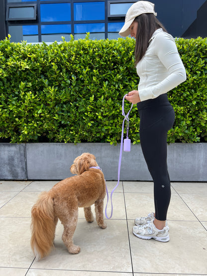 Dog Leash - Lavender Purple
