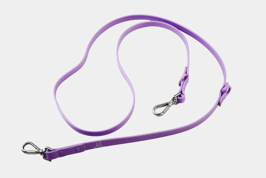 Dog Leash - Lavender Purple